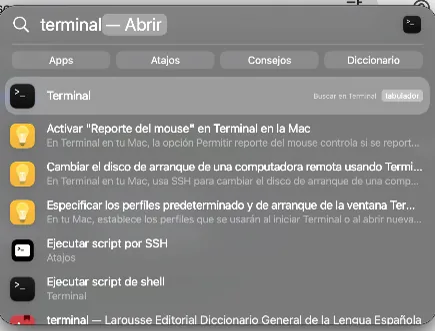 Buscar Terminal en Spotlight